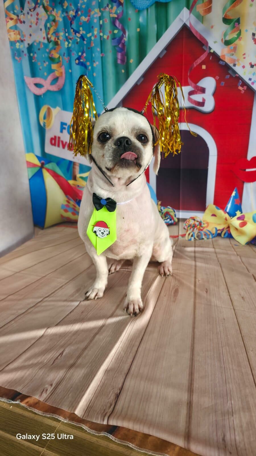 Imagem 6475EAB3-1183-4E5A-AC45-5736178F3EB3